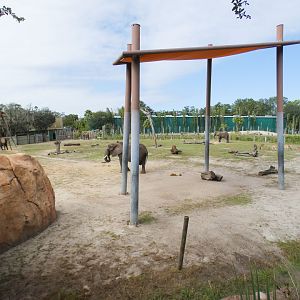 Oct. 2020 - Safari Africa - 1.25 Acre African Elephant/Nile Lechwe/Kenyan Impala Exhibit