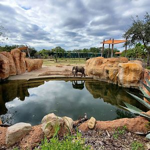 Oct. 2020 - Safari Africa - 1.25 Acre African Elephant/Nile Lecwhe/Impala Exhibit