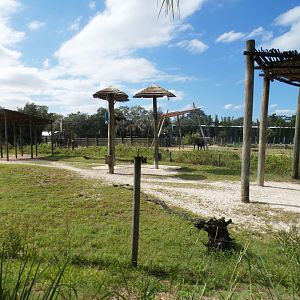 Oct. 2020 - Safari Africa - Reticulated Giraffe/Mountain Zebra + Elephant Exhibits