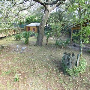 Oct. 2020 - Florida - Sandhill Crane Exhibit
