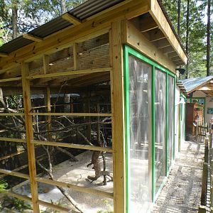 Oct. 2020 - Florida - Barred Owl Exhibit