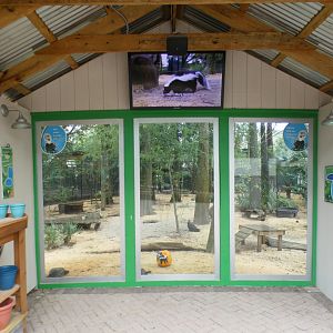 Oct. 2020 - Florida - Skunk/Tortoise/Turtle/Crane Exhibit Viewing