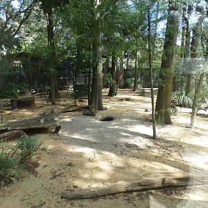 Oct. 2020 - Florida - Skunk/Tortoise/Turtle/Crane Exhibit