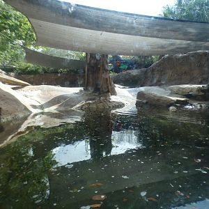 Oct. 2020 - Florida - River Otter Exhibit
