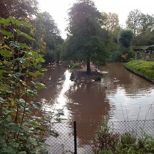 Flamingo and waterfowl exhibit 181020