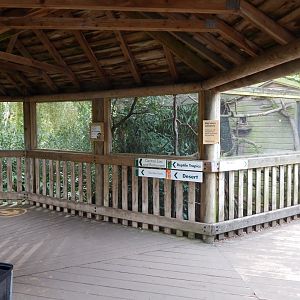 Pygmy marmoset enclosure 181020