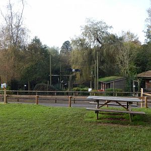 Marabou enclosure 181020