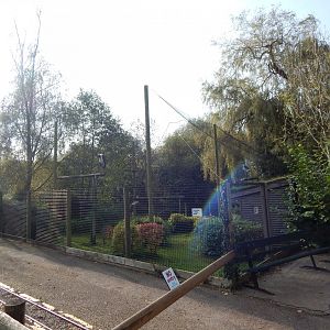 Marabou enclosure 181020