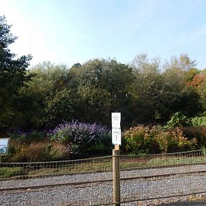 Lar gibbon enclosure 181020