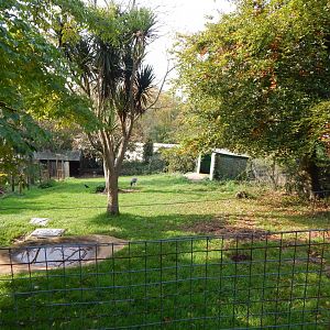 Wattled crane enclosure 181020