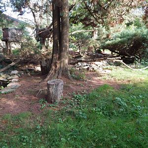 Nepalese red panda enclosure 181020