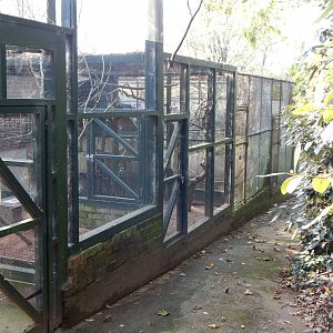 Off show aviaries behind Cottage Aviary 181020