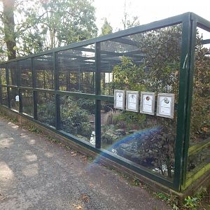 Cottage Aviary 181020