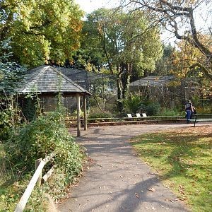 Toucan and parrot aviaries 181020