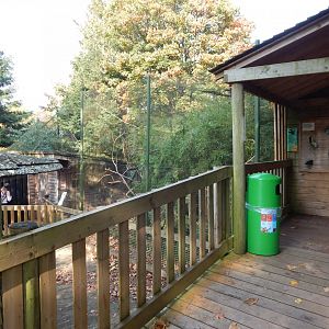 Pied tamarin enclosure 181020