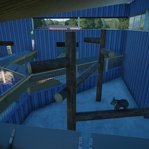 Australia Complex - Koala Indoors