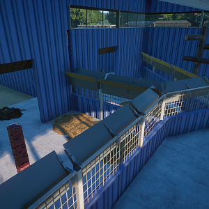 Australia Complex - Red Kangaroo Indoors