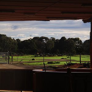 View from Safari Station - June 2016