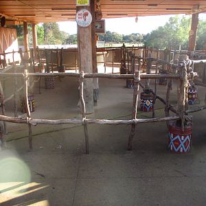 Safari Station - June 2016