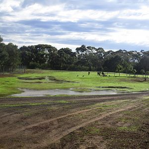 Waterbuck Enclosure - June 2016