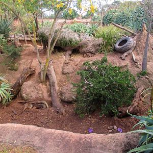 Meerkat Enclosure - June 2016