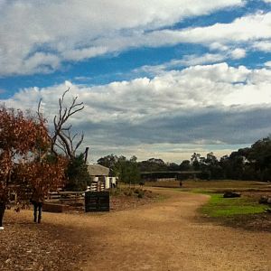 Pathway Towards Australian Journey - June 2016