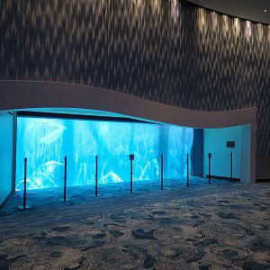 Oceans Ballroom - Beluga Exhibit Viewing Window