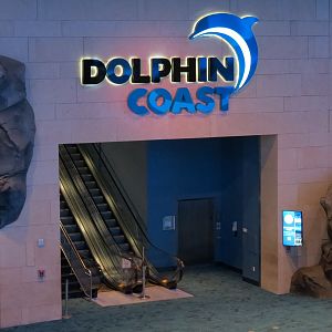 Dolphin Coast - Entry from Lobby