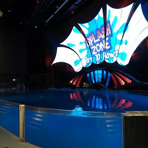 Dolphin Coast - Show Pool in Theater