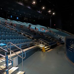 Dolphin Coast - Theater Seating Area