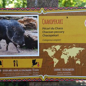 Chacoan peccary signage, 2020-07-21