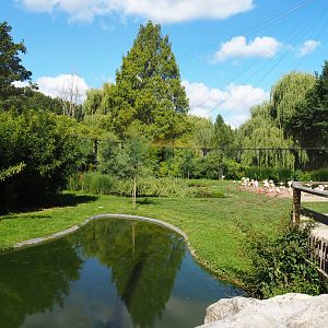 Chilean flamingo and waterfowl area in the South American aviary, 2020-07-21