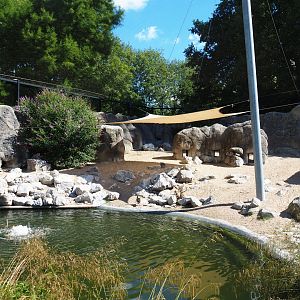 Humboldt penguin exhibit with new temporary shading tarp, 2020-07-21