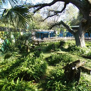 Oct. 2020 - Florida - Southern Bald Eagle Exhibit