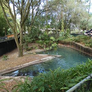 Oct. 2020 - Florida - Tomistoma Exhibit