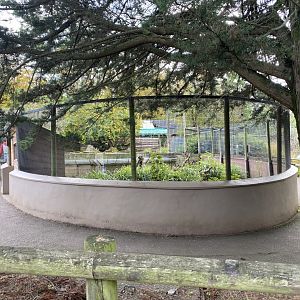 Cusimanse enclosure 181020