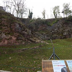 Mishmi takin enclosure 181020