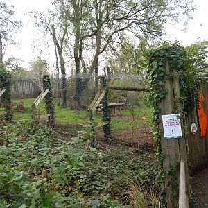 Cheetah enclosure 181020