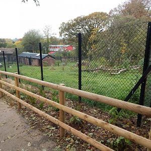 Maned wolf enclosure 181020
