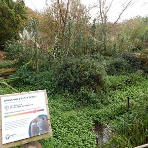 Lac Alaotra gentle lemur enclosure 181020