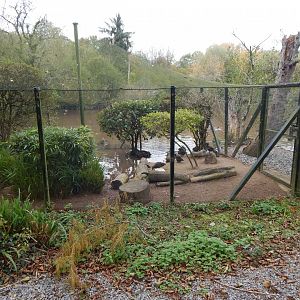 Waterfowl aviary 181020