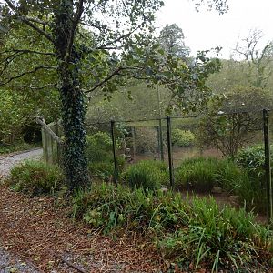 Waterfowl aviary 181020