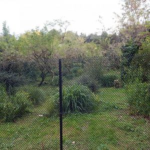 Secretary bird enclosure 181020