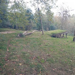 Sumatran tiger enclosure 181020