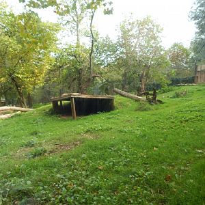 Asiatic lion enclosure 181020