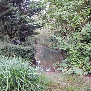 Brookside Aviary 181020