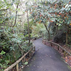Brookside Aviary 181020