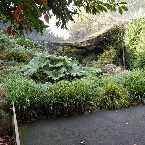 Brookside Aviary 181020