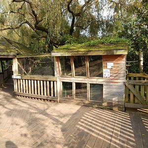 Pygmy marmoset enclosure 181020