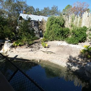 Oct. 2020 - Asian Gardens - Indian Gharial/Black Pond Turtle/Giant Asian Pond Turtle Exhibit